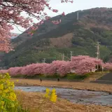 豊泉の足湯処