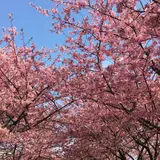 西志津スポーツ等多目的広場