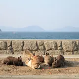 大久野島