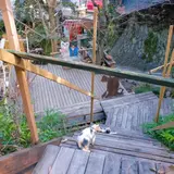 尾道市