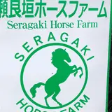 瀬良垣ホースファーム
