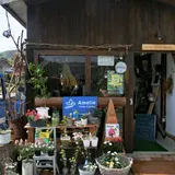 フラワー アメリ