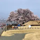 笛吹市役所 八代ふるさと公園