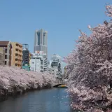 大岡川 旭橋