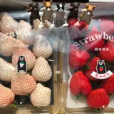 宮原サービスエリア（下り線）