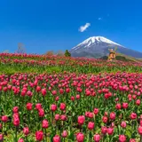 ぐりんぱ