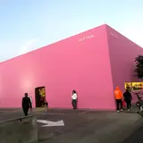 The Pink Wall