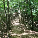 都民の森