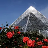 大阪府立花の文化園