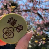 アルブルノワール