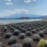 河口湖自然生活館