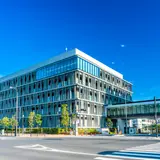 豊洲市場