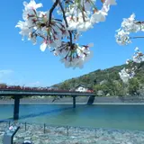 宇治公園(塔の島)