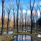 【閉業】アートビオトープ水庭