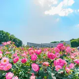 神代植物公園