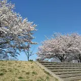 永野川緑地公園
