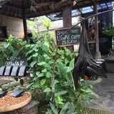 Tanah Lot