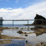勝浦海中公園センター