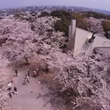 太田山公園
