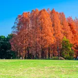 水元公園