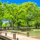 代々木公園