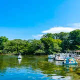 井の頭恩賜公園