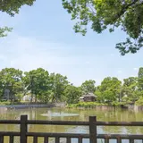 碑文谷公園