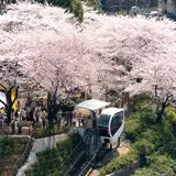 飛鳥山公園