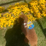 フローラルガーデンおぶせ