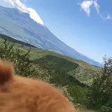 芦ノ湖スカイライン
