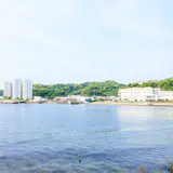 陸軍桟橋