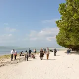 星砂海岸