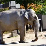 いしかわ動物園