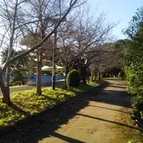新木場緑道公園