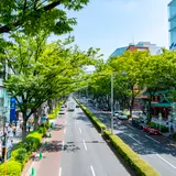 表参道