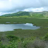 八島ヶ原湿原