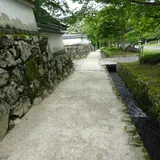 坂本