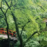 河鹿橋