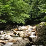赤谷川源流