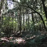 旧天城トンネル