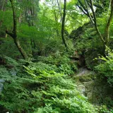 根本山