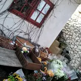 小さなお花屋 ののこや