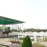 乗馬クラブ クレイン東海