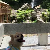 轟ノ滝