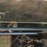 鹿の湯