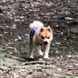 末吉公園