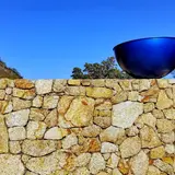 茶のめ
