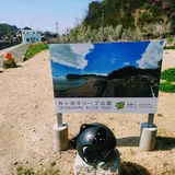 外ケ浜オリーブ公園