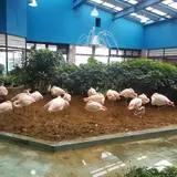 メヒコ