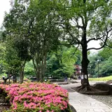 蚕糸の森公園